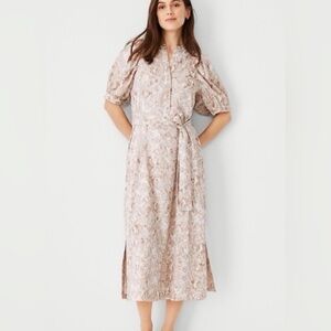 Ann Taylor Elegant Snake Print Maxi Dress NWOT